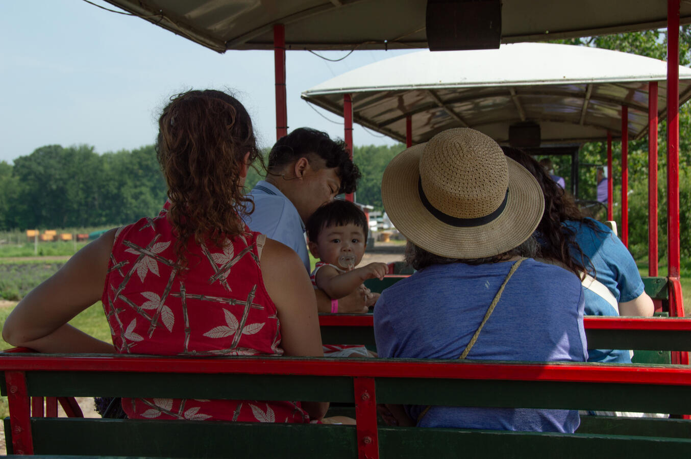 Blakes Lavender Festival 2025 Blakes Lavender Festival 2025